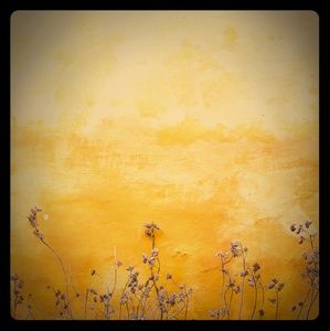 Meet your Posher, Jadid